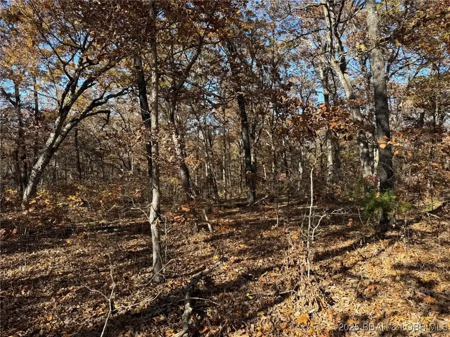 54 Acres Whitetail Way, Lincoln, MO 65338 - Image #2