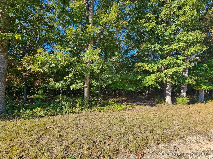 Lot #1060 Bittersweet Road, Village Of Four Seasons, MO 65049 - Image #3