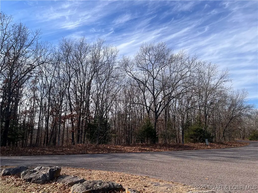 Lots 2 & 3 South Buck Creek Road, Gravois Mills, MO 65037 - Image #1