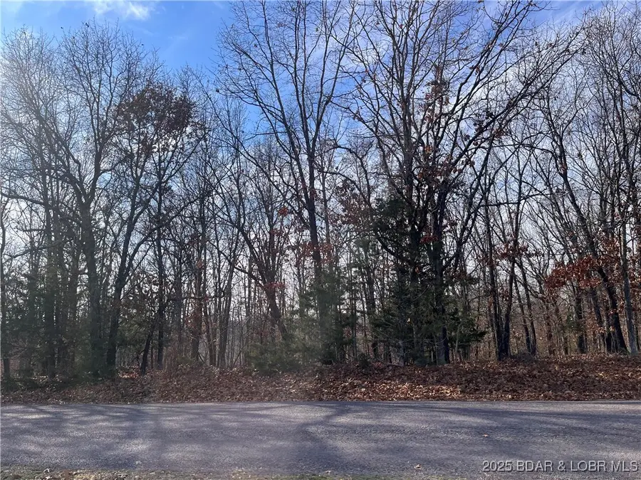 Lots 2 & 3 South Buck Creek Road, Gravois Mills, MO 65037 - Image #2