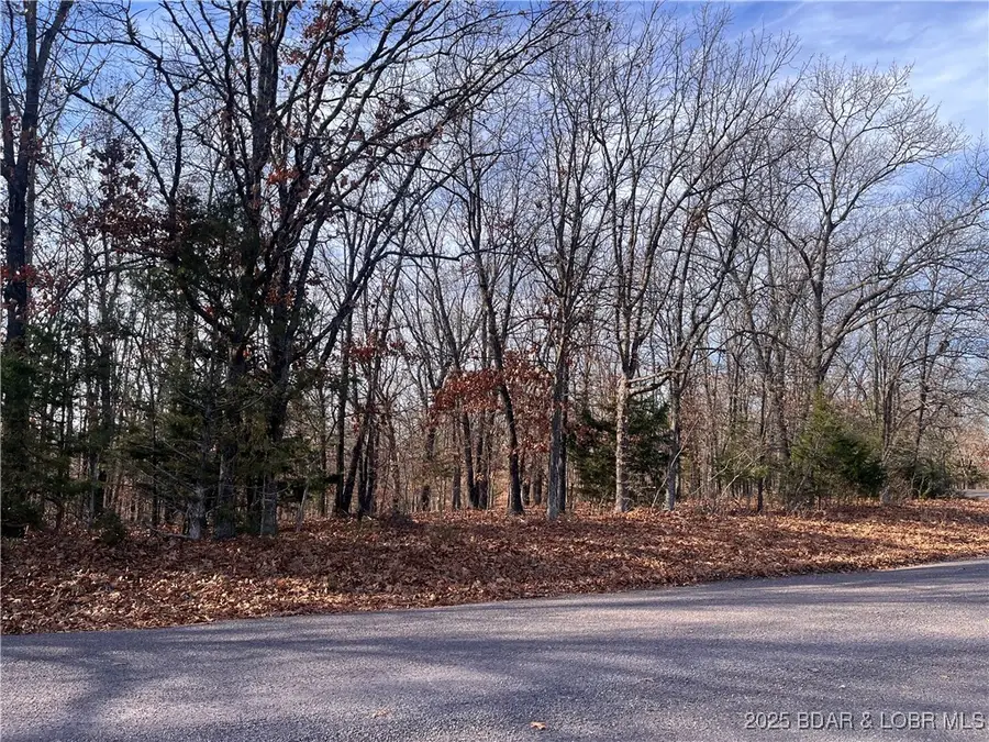 Lots 2 & 3 South Buck Creek Road, Gravois Mills, MO 65037 - Image #3