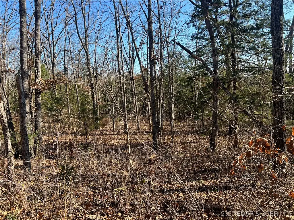 Lavender Rd, Barnett, MO 65011 - Image #1