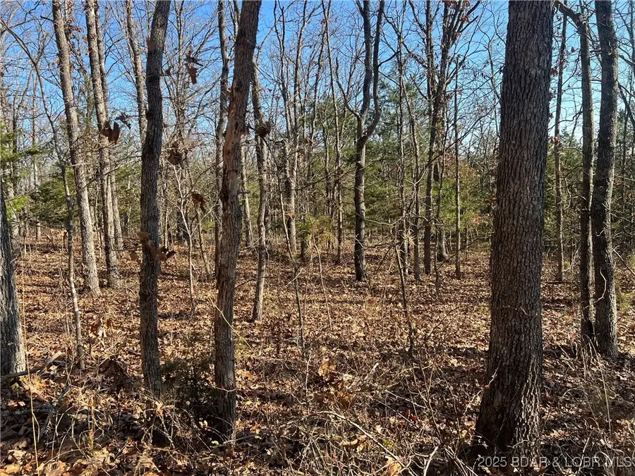 Lavender Rd, Barnett, MO 65011 - Image #3