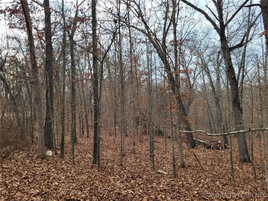 Dunn Drive #1331, Edwards, MO 65326 - Image #2