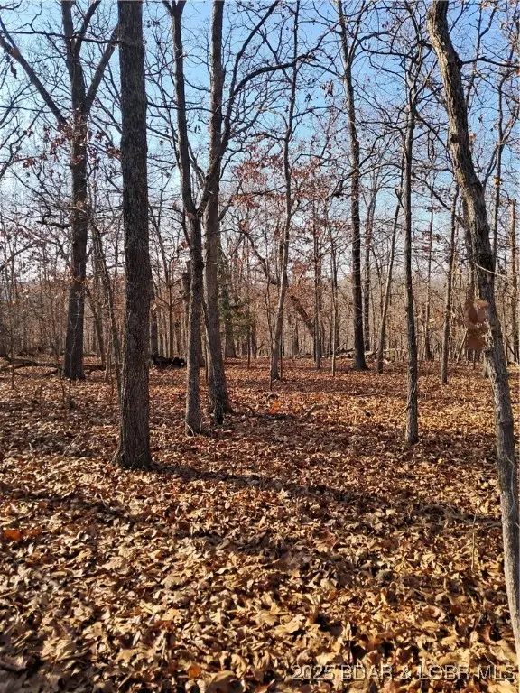 Lots 4 & 5 South Buck Creek Road, Gravois Mills, MO 65037 - Image #1