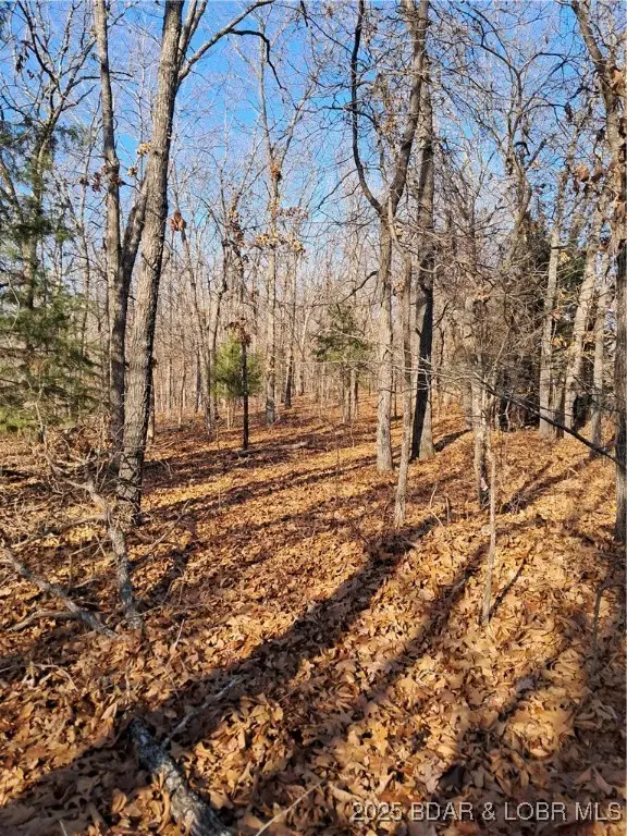 Lots 4 & 5 South Buck Creek Road, Gravois Mills, MO 65037 - Image #2