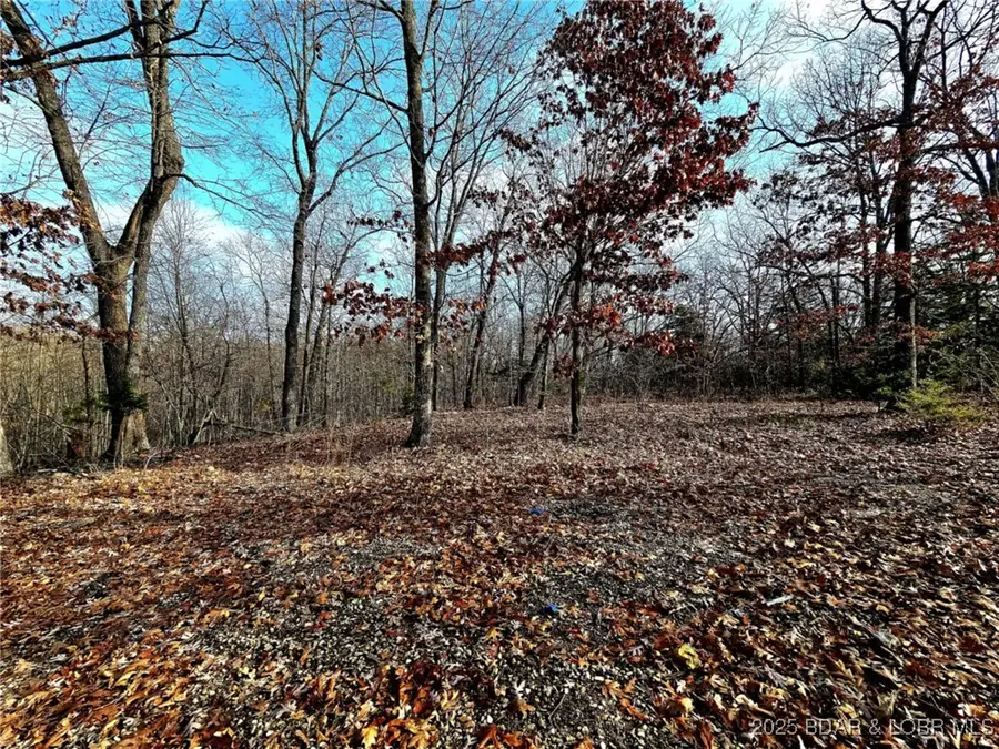 TBD Echo Valley Road, Rocky Mount, MO 65072 - Image #3