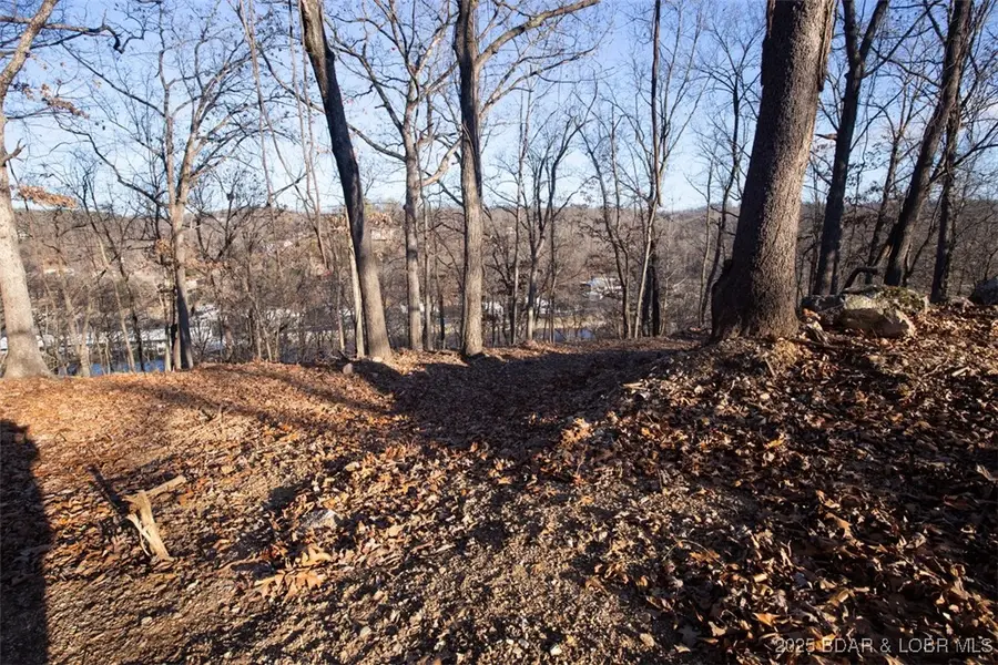 Lot 1287 Lakeshire Drive, Camdenton, MO 65020 - Image #3