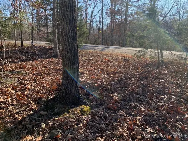 Lot 15 Glendale Court, Lake Ozark, MO 65049