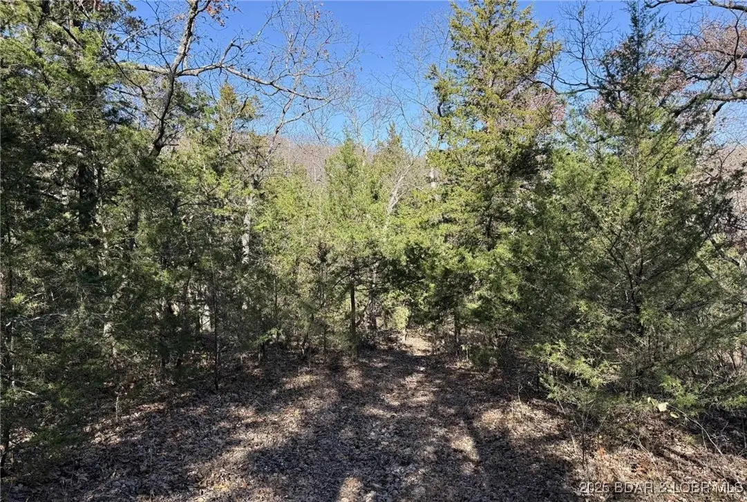 11.8 Acres Whitetail Way, Lincoln, MO 65338 - Image #1