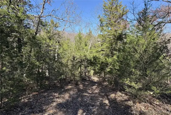 11.8 Acres Whitetail Way, Lincoln, MO 65338