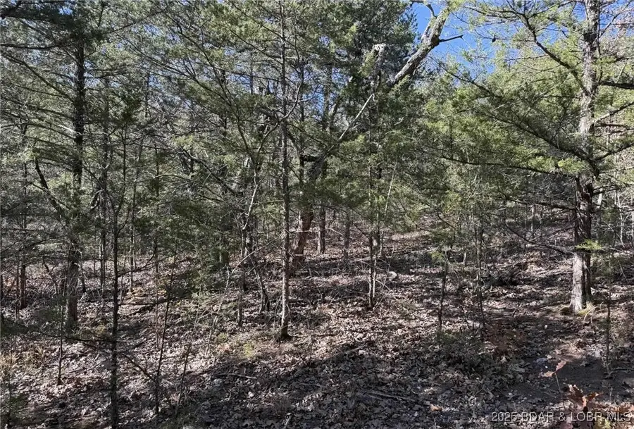 11.8 Acres Whitetail Way, Lincoln, MO 65338 - Image #2