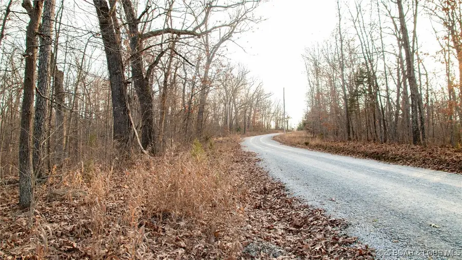 TBD Hollywood Drive, Edwards, MO 65326 - Image #3
