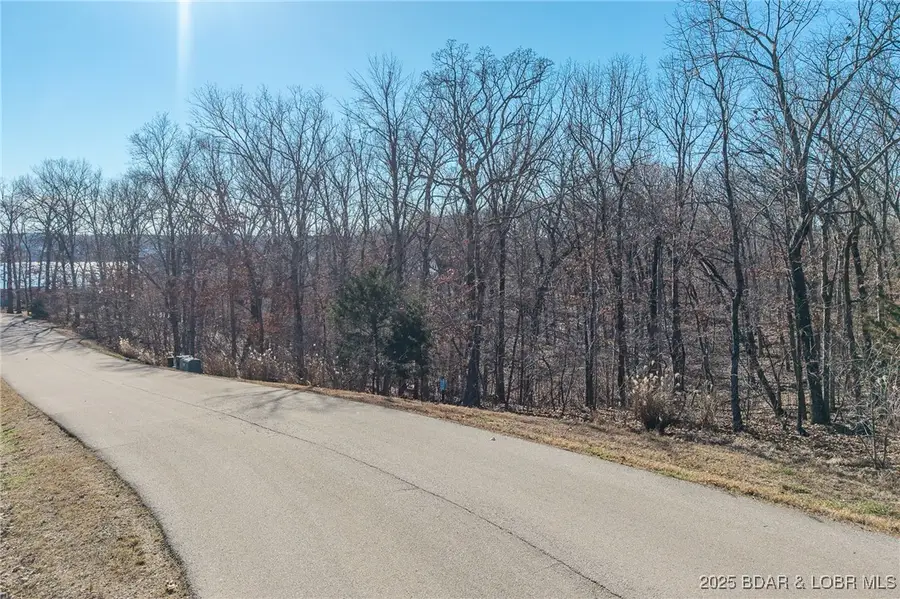 Lot 222 Forestridge Lane, Jasper, MO 65037 - #3
