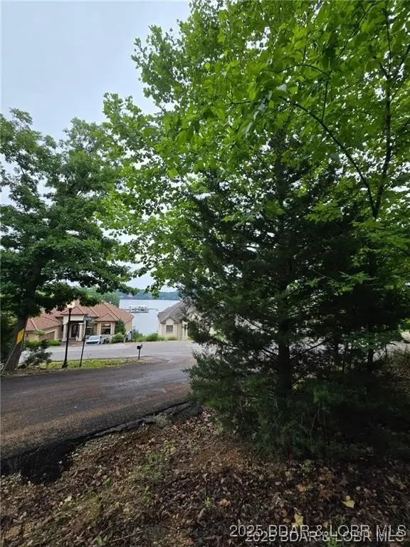 Via Del Lago Drive, Sunrise Beach, MO 65079 - Image #2