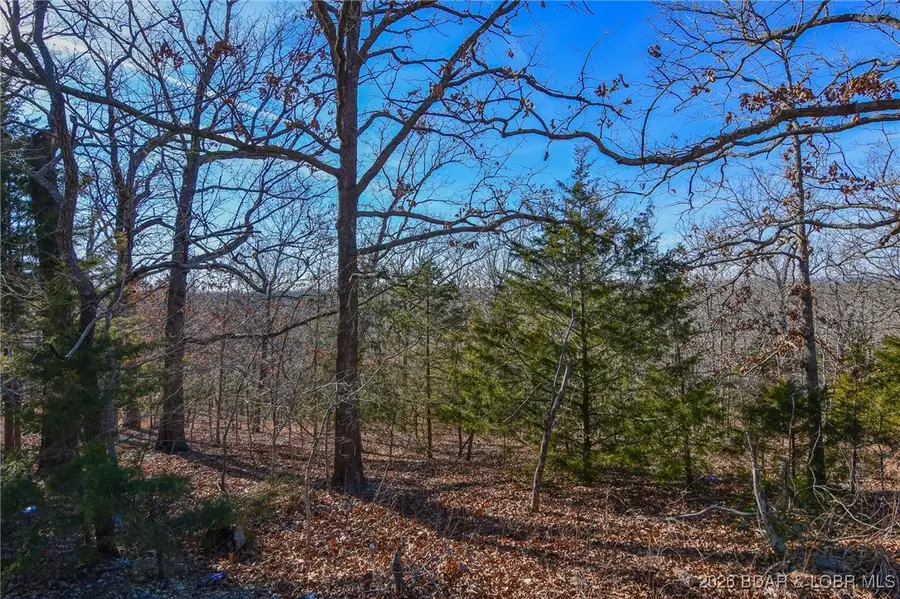 Lot 436 Pier 31 Road, Camdenton, MO 65020 - Image #2