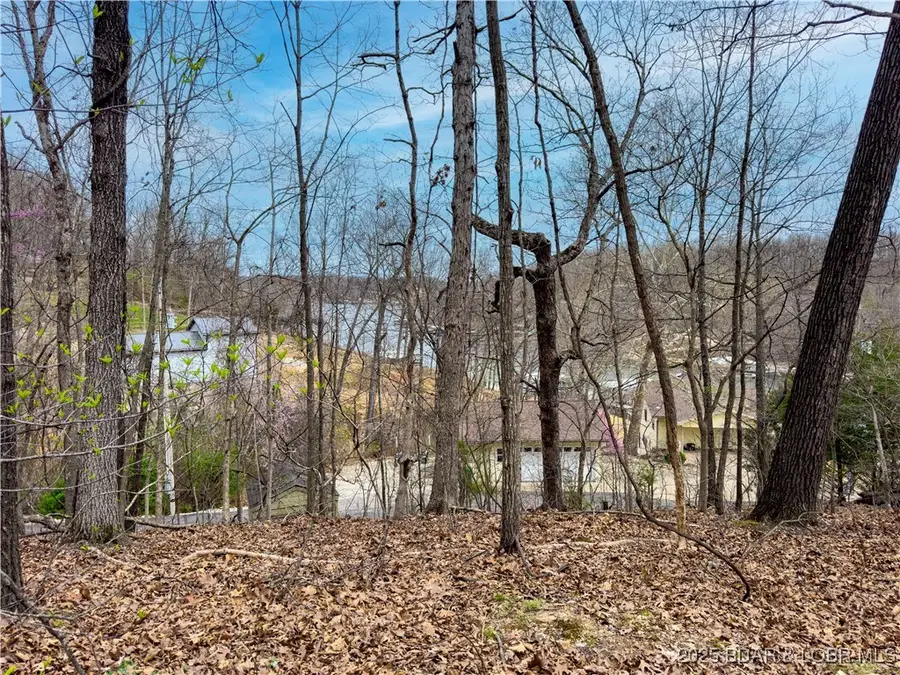 Langford Lane, Camdenton, MO 65020 - #2