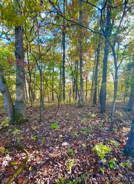 #6 Lakewood Lane, Barnett, MO 65011 - Image #2