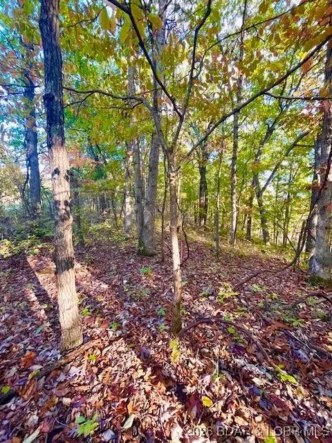 Lot#5,6 &7 Lakewood Lane, Barnett, MO 65011
