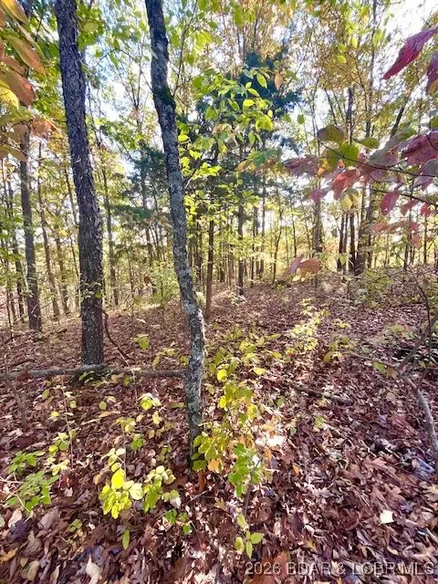 Lot#5,6 &7 Lakewood Lane, Barnett, MO 65011 - Image #2
