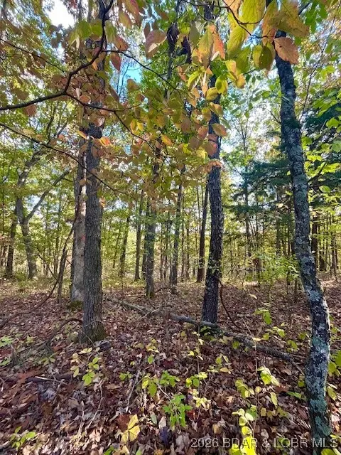 Lot#4,5,6&7 Lakewood Lane, Barnett, MO 65011 - Image #3