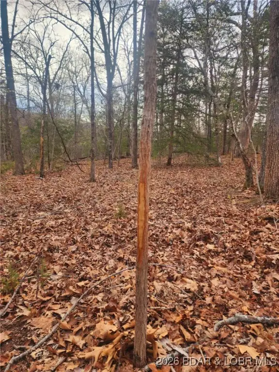 Lot 2 State Aa Road, Roach, MO 65787 - #2