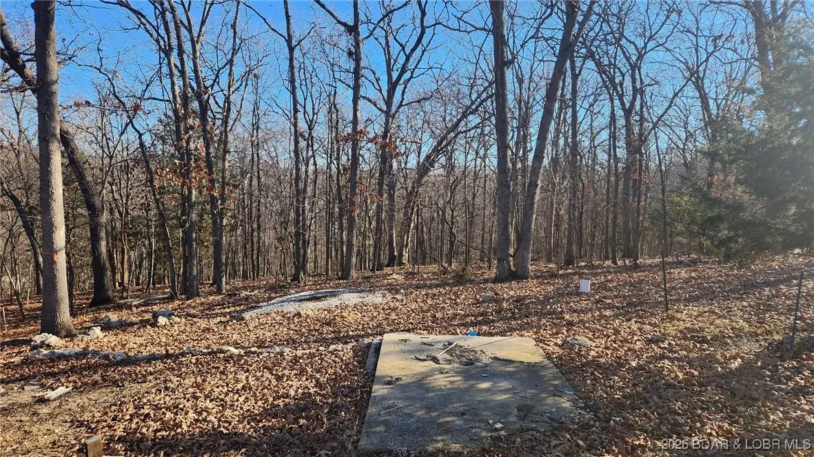 Lot 29 Cove Road, Osage Beach, MO 65065 - Image #1
