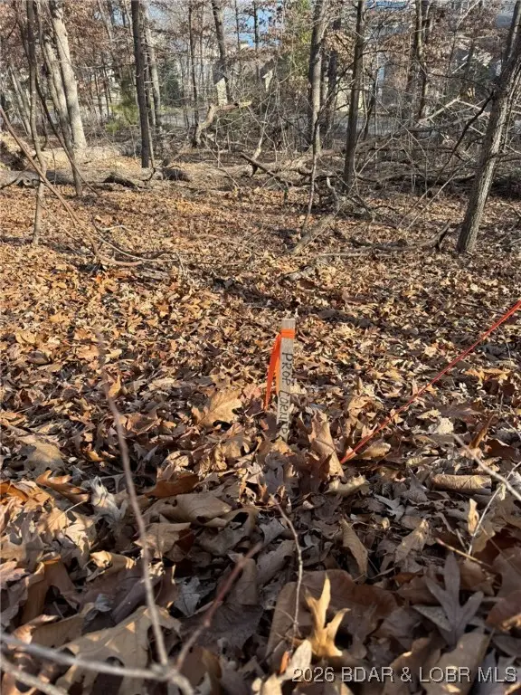 1401 Via Del Lago Drive, Sunrise Beach, MO 65079 - Image #2