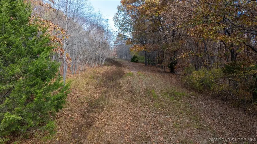 53 Acres Buckridge Road, Climax Springs, MO 65324 - Image #3