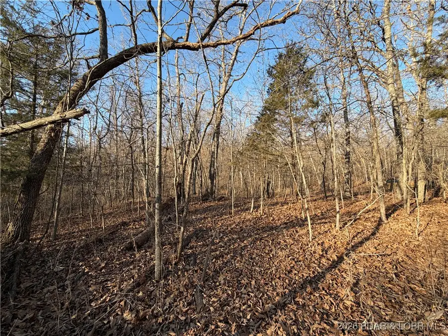 TBD Green Hills Road, Gravois Mills, MO 65037 - Image #3