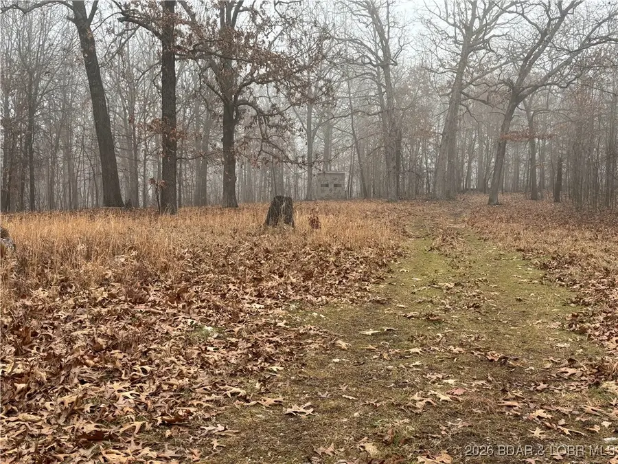 Tract D Industry Road, Lebanon, MO 65536 - Image #3