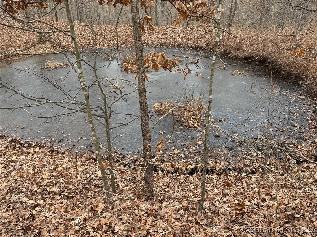 Tract C Industry Road, Lebanon, MO 65536 - Image #1