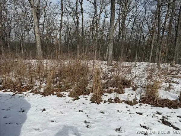 Lot 1046 Bittersweet Road, Lake Ozark, MO 65049