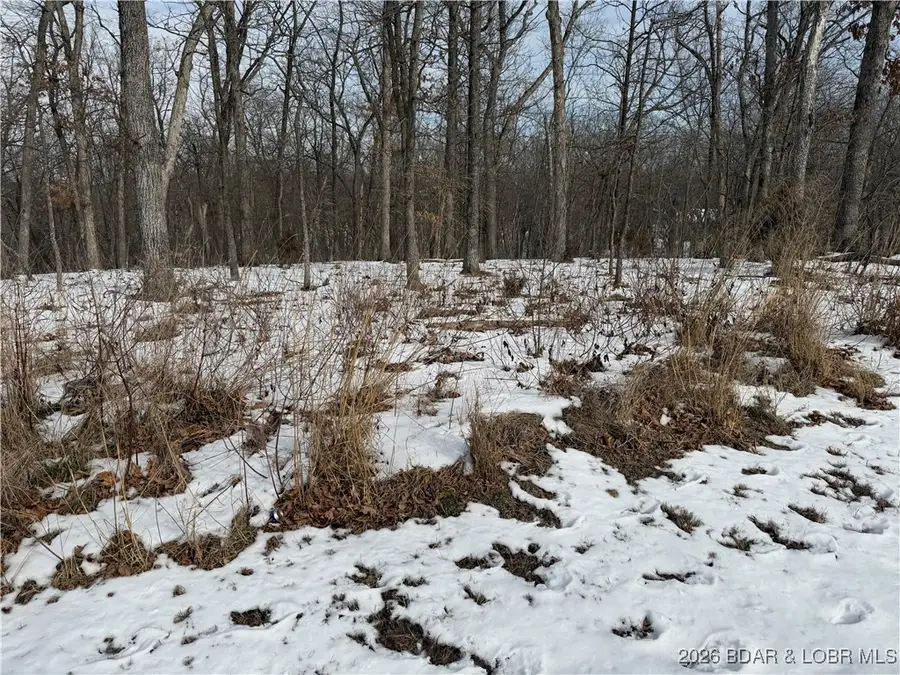 Lot 1046 Bittersweet Road, Lake Ozark, MO 65049 - Image #2