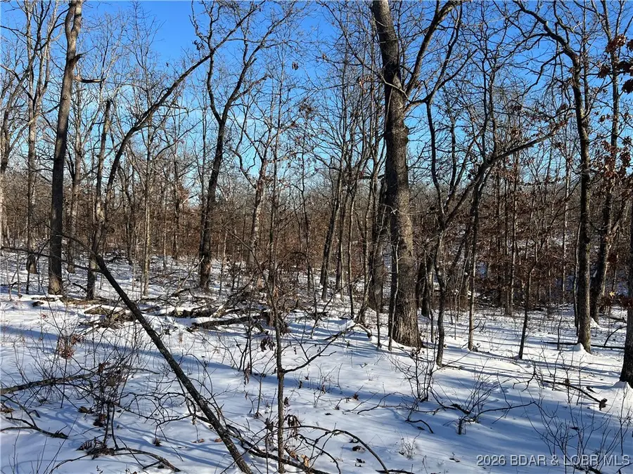 Partridge Drive, Climax Springs, MO 65324 - #2