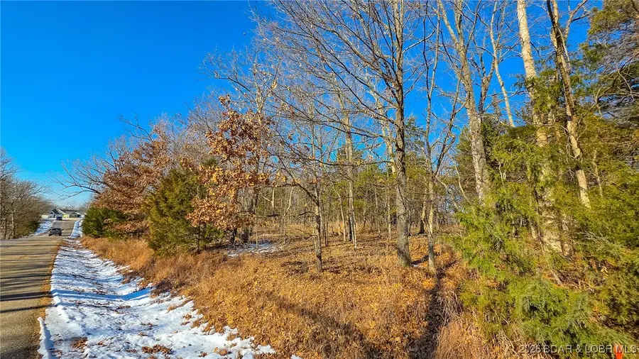 Lot #1356 Champion Drive, Sunrise Beach, MO 65079 - #2