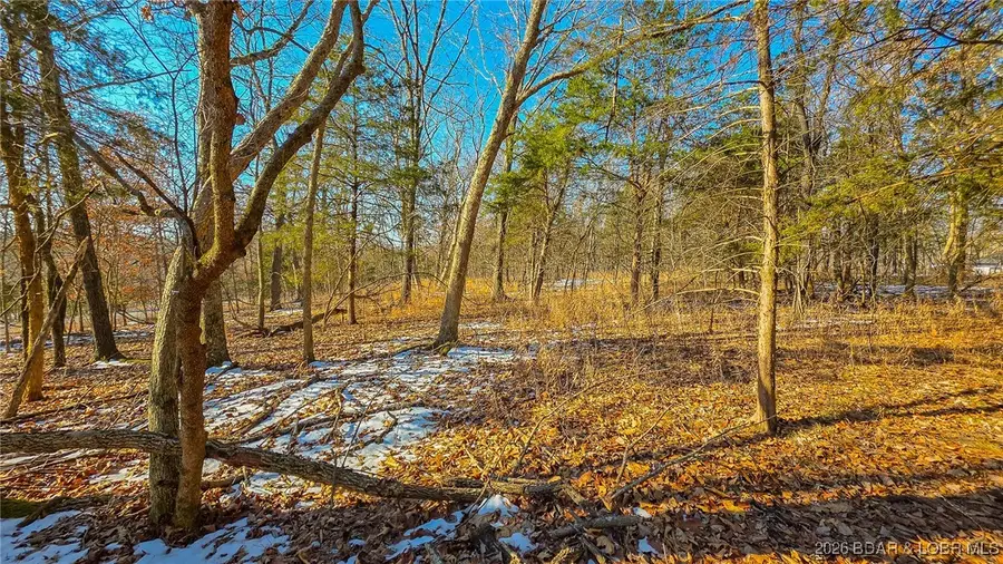 Lot #1356 Champion Drive, Sunrise Beach, MO 65079 - #3