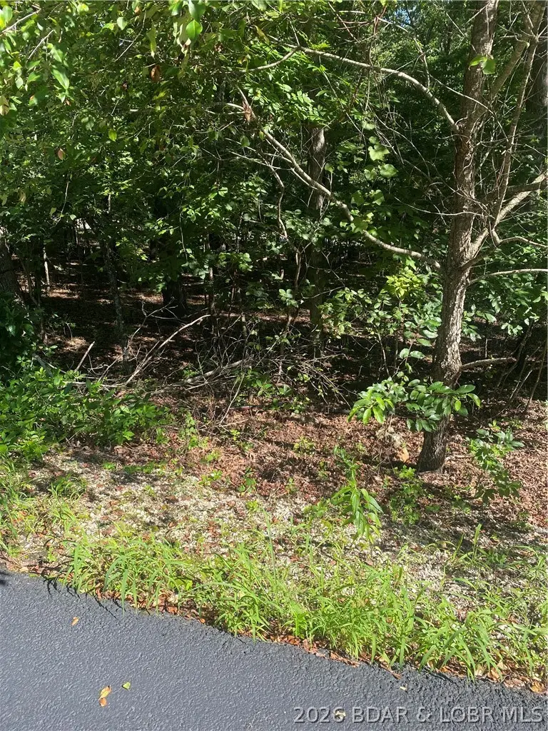 Lot 1275 Champions Run, Sunrise Beach, MO 65079 - #2