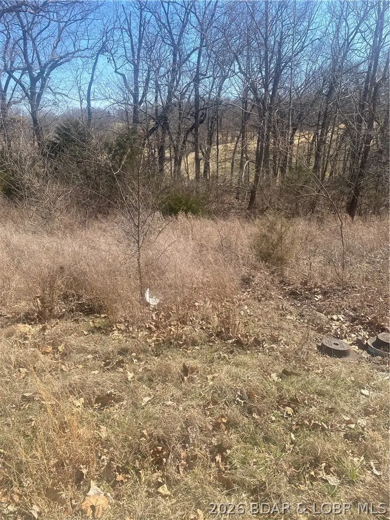 Lot 12 Witches Cove Boulevard, Lake Ozark, MO 65049 - #3