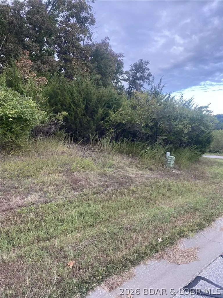 Lot 29 Country Club Cove Drive, Lake Ozark, MO 65049 - #3