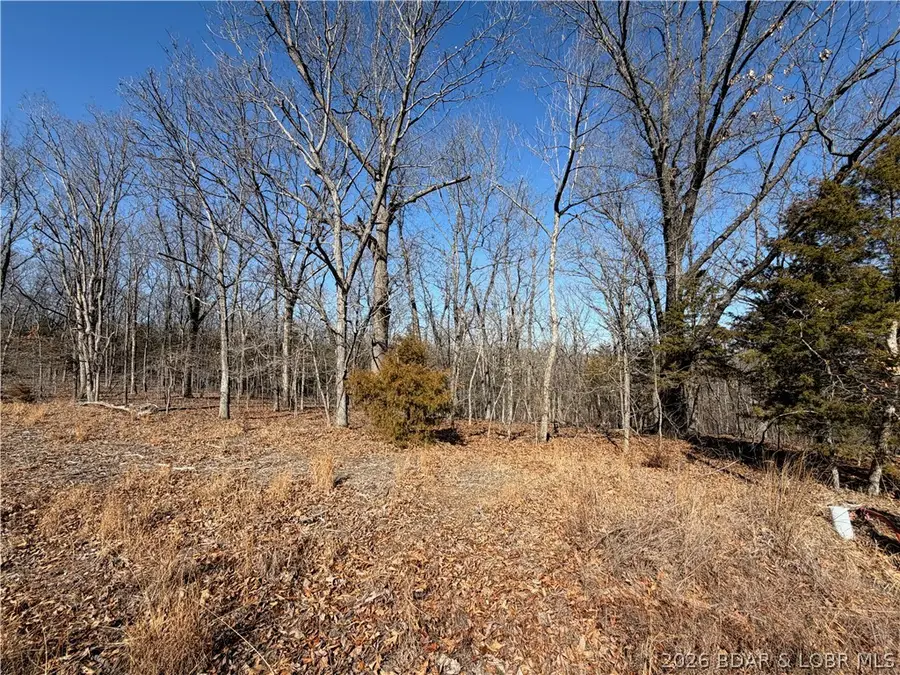 Lot 1079 Shawnee Bend Road, Sunrise Beach, MO 65079 - #3