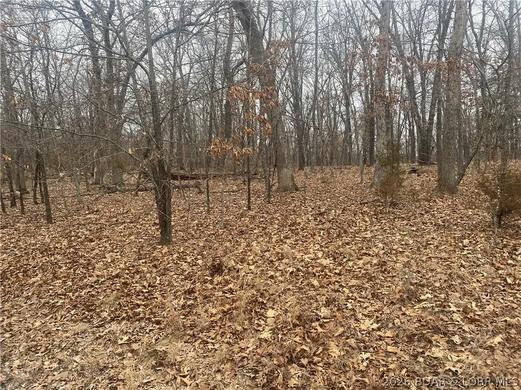 Lot 1341 Champions Drive, Sunrise Beach, MO 65079 - #1