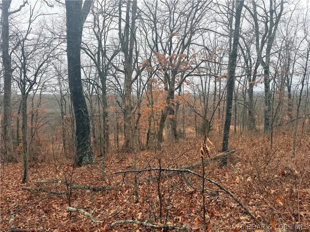 Nile Road, Stover, MO 65078 - #1