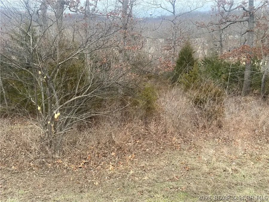 Lot 49 Country Club Cove Drive, Lake Ozark, MO 65049 - #2