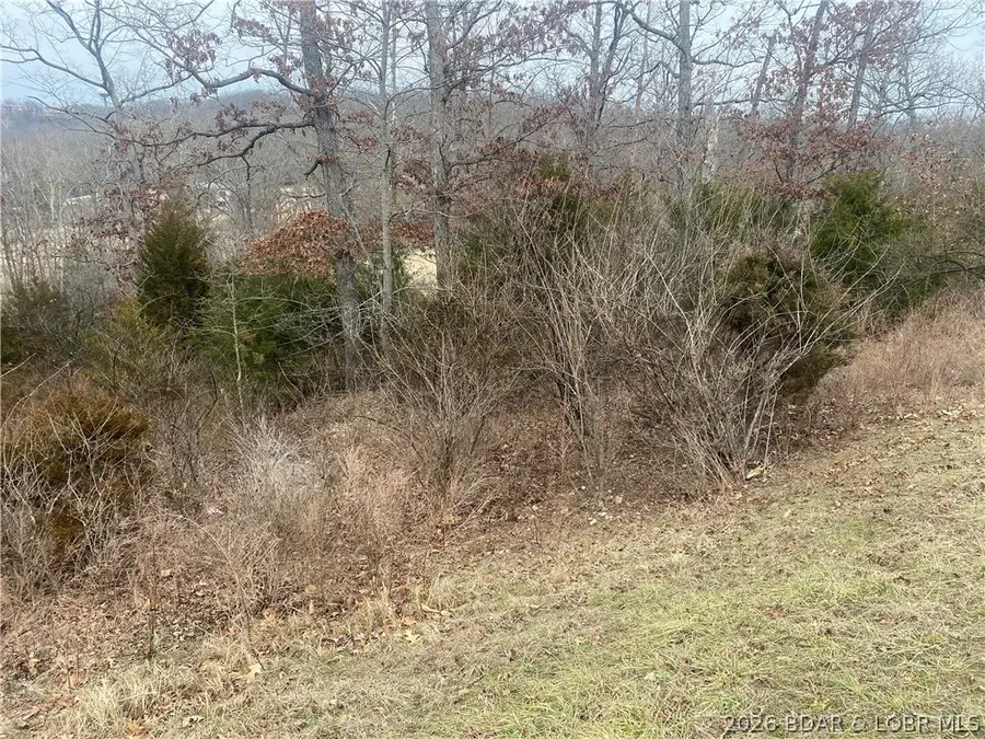 Lot 49 Country Club Cove Drive, Lake Ozark, MO 65049 - #3
