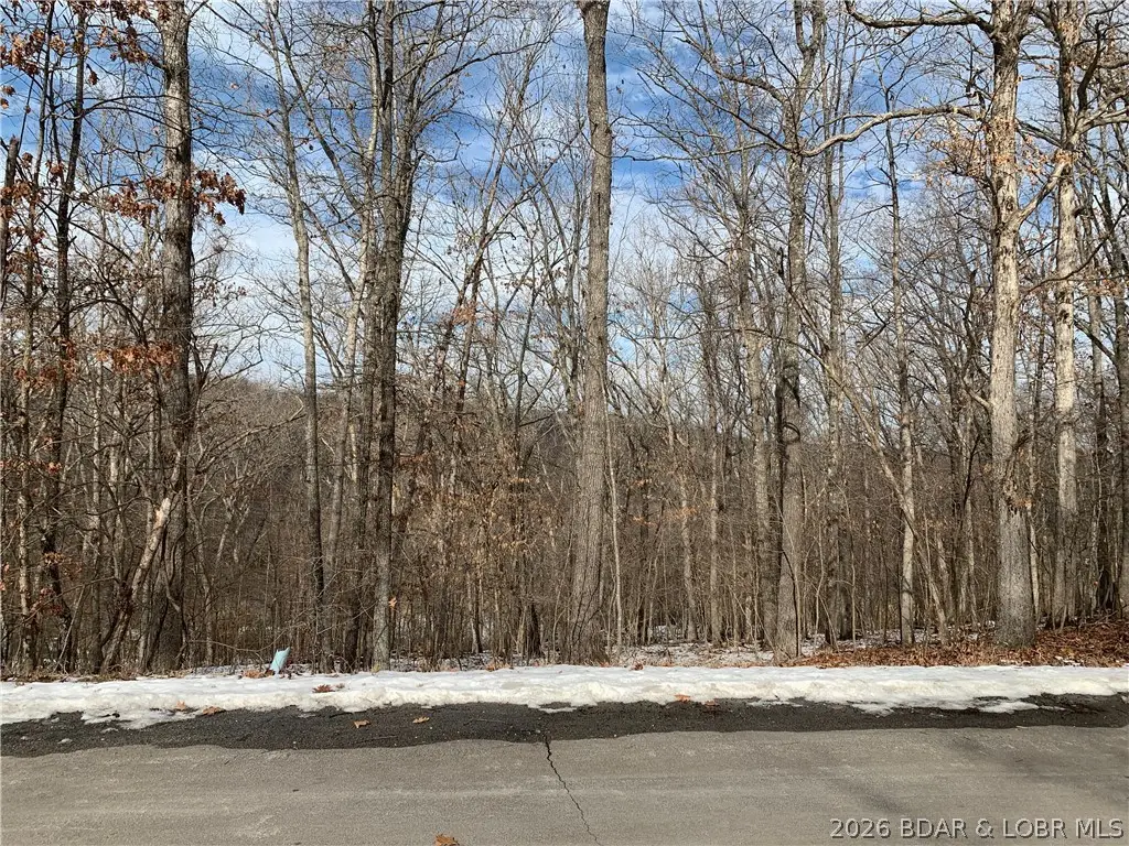 39 Bayhill Ct, Lake Ozark, MO 65049 - #1