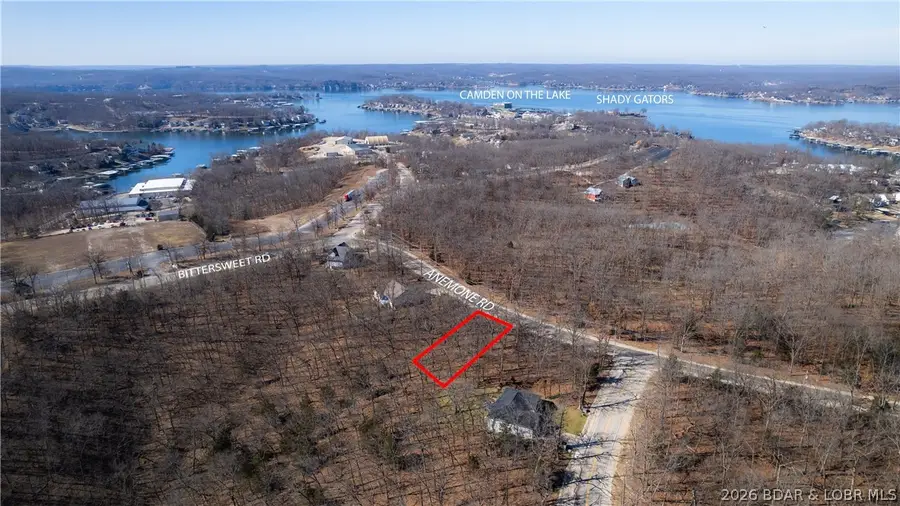 1253 Cornett Cove, Village Of Four Seasons, MO 65049 - #3