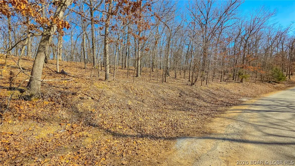 Lot #450 Grand View Drive, Sunrise Beach, MO 65079 - #1