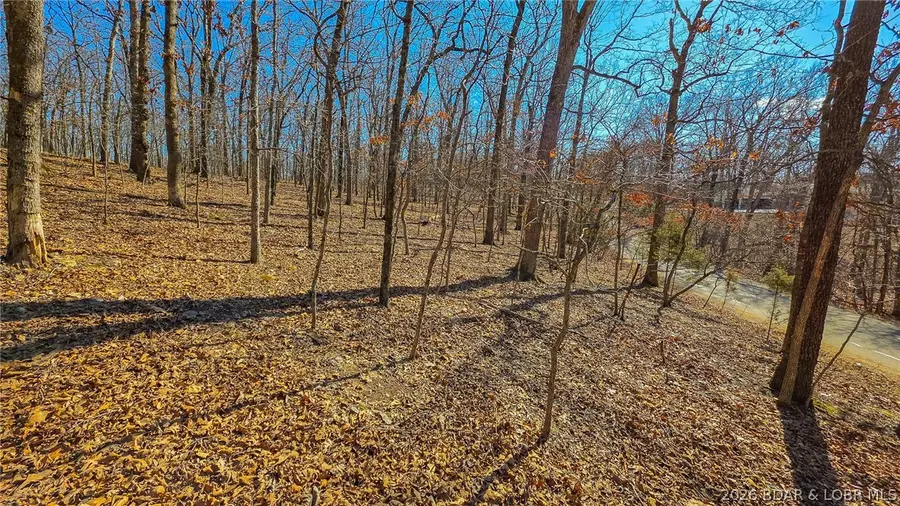 Lot #450 Grand View Drive, Sunrise Beach, MO 65079 - #3