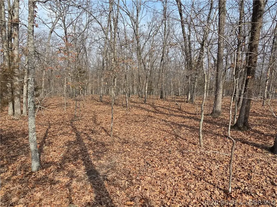 639 Grand Point Boulevard, Jasper, MO 65079 - #3